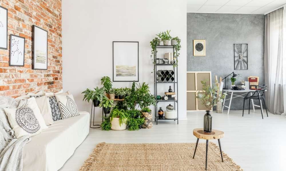 Get Some Plants for Your Living Room