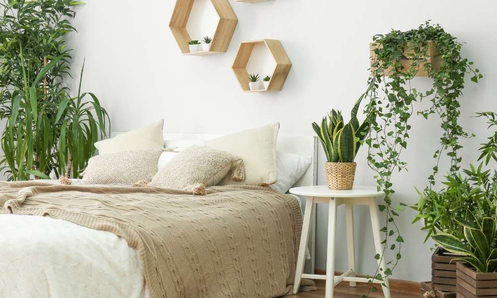 Decorate the Accent Wall Bedroom