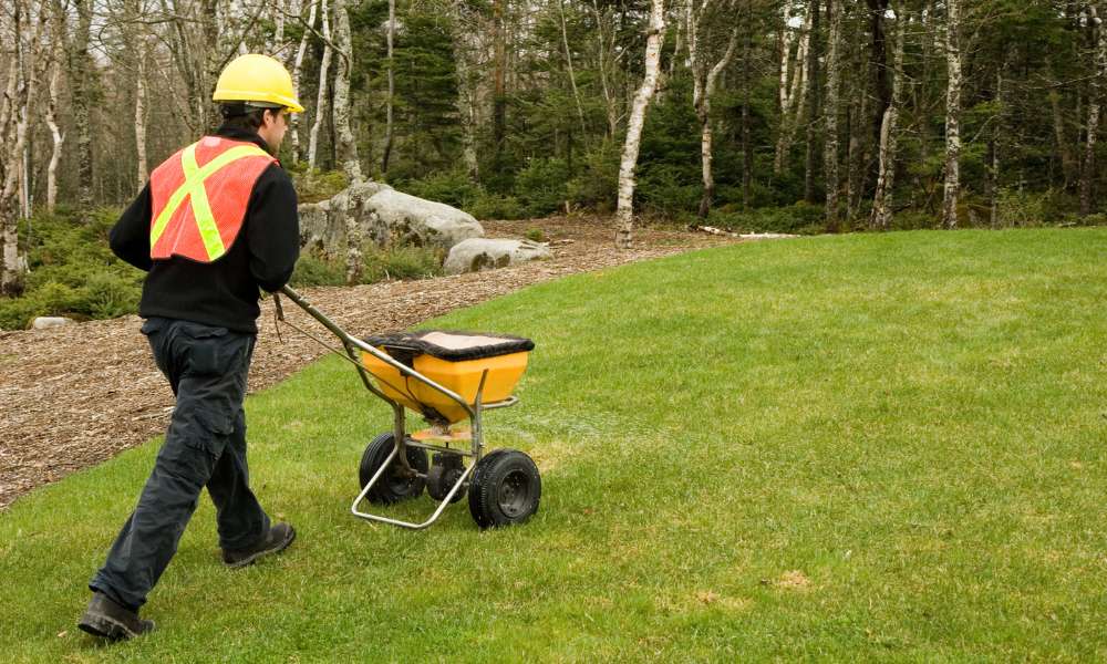 The Most Effective Method To Make Protection In Lawn