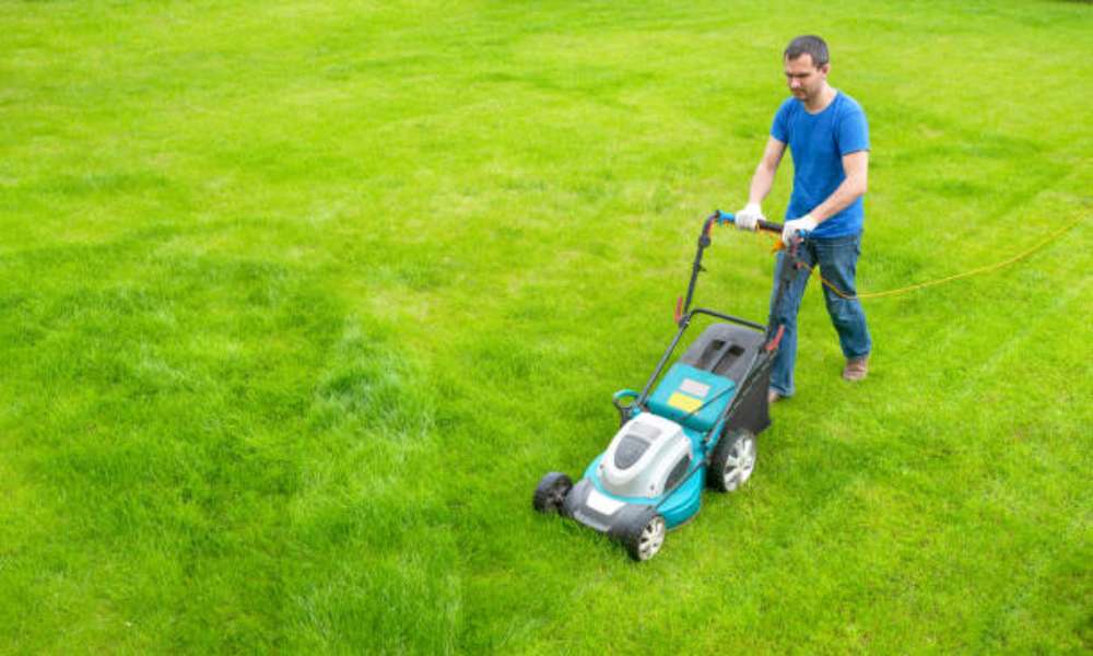 How To Overseed A Lawn
